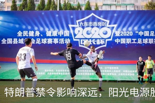 特朗普禁令影响深远，阳光电源股价暴跌